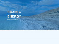 brain-and-energy.de Webseite Vorschau