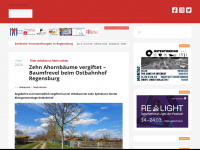 regensburg-digital.de Webseite Vorschau