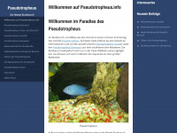 pseudotropheus.info Webseite Vorschau