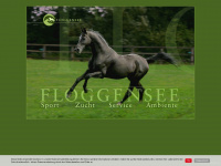floggensee.com Webseite Vorschau