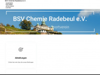 chemie-radebeul.org Webseite Vorschau