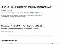 heidegger.li Webseite Vorschau