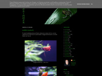 zoo-zimmer.blogspot.com Webseite Vorschau
