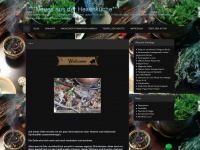 hexen-kunst.net Webseite Vorschau