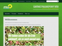 grueneffmsued.de Webseite Vorschau