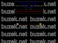 buzek.net Webseite Vorschau