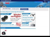 schausberger.net Webseite Vorschau