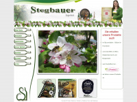 stegbauer.at Webseite Vorschau
