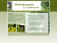 shetlandponygestuet-anhalt.de Webseite Vorschau