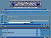 yorkie-forum.de Webseite Vorschau