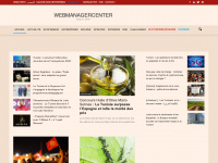 webmanagercenter.com Webseite Vorschau