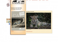 catsg.org Webseite Vorschau