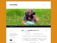briardindigo.wordpress.com Webseite Vorschau