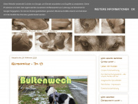 Ueberraschungspaket-hund.blogspot.com