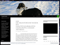 zanetti.ch Webseite Vorschau