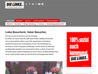 dielinke-myk.de Webseite Vorschau