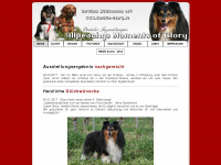sheltie-glory.de Webseite Vorschau