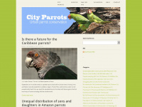 cityparrots.org Webseite Vorschau