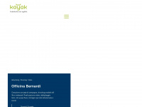 kayak-adv.com Webseite Vorschau
