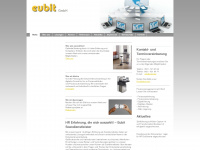 eubit-unternehmensberatung.de Webseite Vorschau