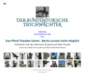 ulrich-pelz.de Webseite Vorschau