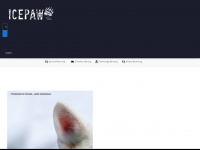 icepaw.de Webseite Vorschau