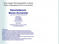 burmeister.buechen.com Webseite Vorschau