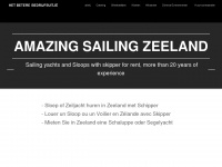 amazingsailingzeeland.com Webseite Vorschau