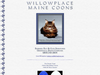 willowplace.com Webseite Vorschau