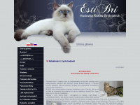 estibri.pl Webseite Vorschau