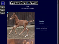 Quarter-horse.de