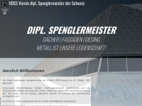 vdss.ch Webseite Vorschau