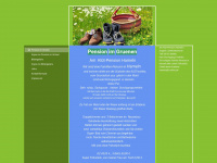 hameln-zimmervermietung.de Webseite Vorschau