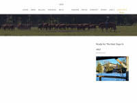 cattlemansranch.de Webseite Vorschau