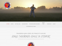 taekwondo-song-steinfurt.de Webseite Vorschau