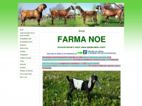 farmanoe.sk Webseite Vorschau