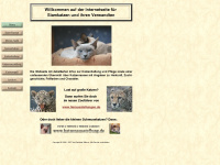 siamkatzen.de Webseite Vorschau