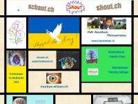 shout.ch Webseite Vorschau