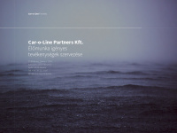 carolinepartners.hu Webseite Vorschau