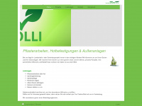 hakolli.de Webseite Vorschau