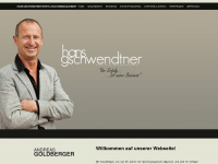 hansgschwendtner.com Webseite Vorschau