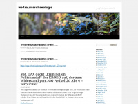 weltraumarchaeologie.wordpress.com Webseite Vorschau