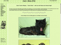 cairnterrier-welpen.de Webseite Vorschau