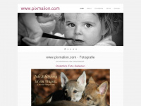 pixmalion.com Webseite Vorschau