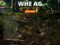 whe-ag.ch Webseite Vorschau