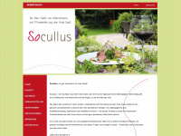 socullus.de Webseite Vorschau