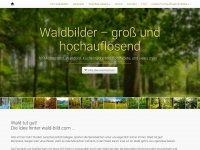 wald-bild.com Webseite Vorschau