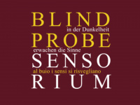 blindprobe.com Webseite Vorschau