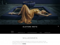 elster-netz.net Webseite Vorschau