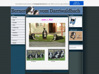 darriwaldbach.de.tl Webseite Vorschau
